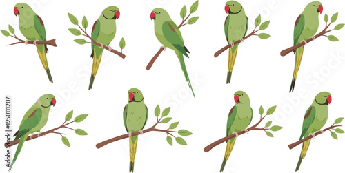 Colorful Parrots Sitting on Branches with Leaves in Vibrant and Nature-Inspired Illustration