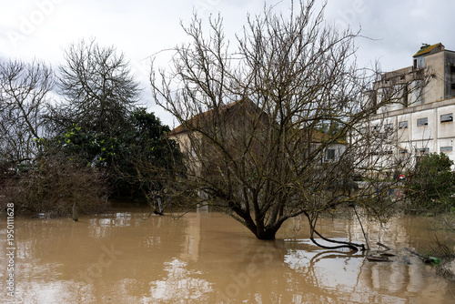 The impact of floods in Portugal in 2026, when rivers overflow and inundate agricultural fields