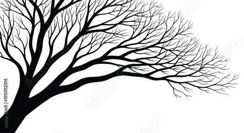 Striking silhouette of bare tree branches spreading from the corner creates a dramatic and natural look on a clean white background for design.