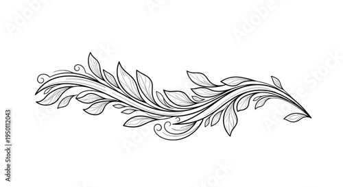 Decorative hand drawn horizontal floral ornament with leaves and swirls isolated on white background for wedding invitations.