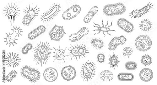 Hand drawn collection of various microorganisms bacteria viruses and cells illustrating microscopic life in a detailed scientific sketch style.