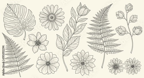 Vintage style collection of hand drawn botanical sketches featuring various flowers fern fronds and a monstera leaf on a cream background.