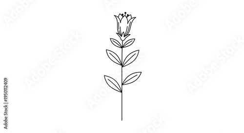Minimalist line drawing of a tall plant stem with a single bell shaped flower and several pairs of leaves on a white background.