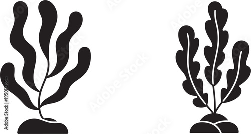Two distinct black seaweed plant silhouettes on a transparent background, vector illustration