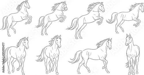 Line Art Illustrations of Horses in Various Poses and Movements in Black and White Design