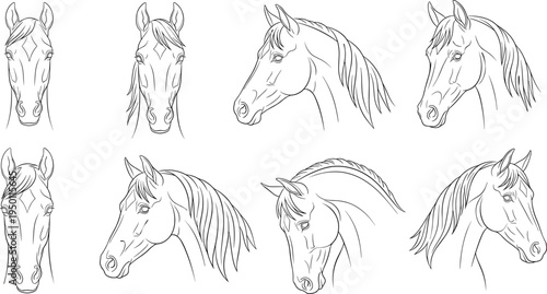 Line Art Illustrations of Horse Heads with Detailed Manes in Black and White Style