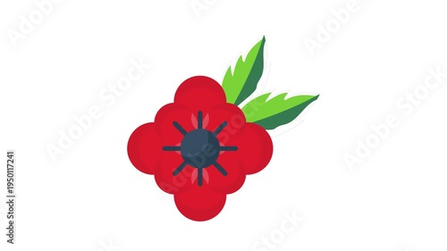 A vibrant red poppy flower surrounded by lush green leaves.