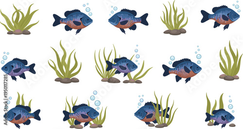 Cartoon Fish Swimming in Aquatic Plants with Bubbles in Underwater Scene Illustration