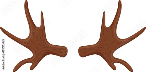 Brown animal antlers vector illustration on white background