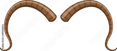 Two brown segmented curved worm tails illustration