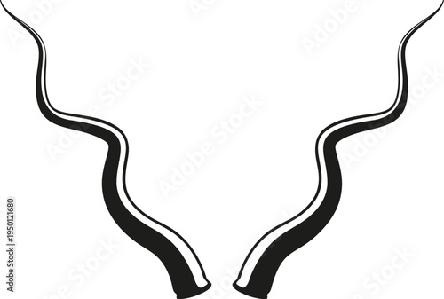 Kudu antelope horns isolated on white background