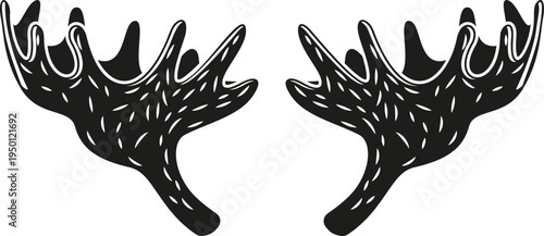 Moose antlers forming a symmetrical black and white design