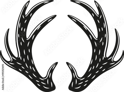 Deer antlers graphic illustration horns on white background
