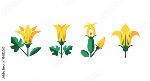Zucchini Flower Line art vivid abstract color illustration
