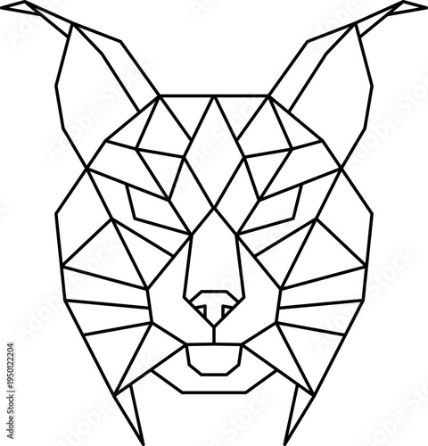 Lynx head geometric drawing outlining wild feline predator