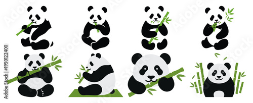 BAMBOO SNACK - Panda sitting while munching on a green bamboo stalk  Flat Vector Illustration on Transparent Background