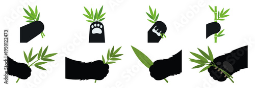  EATING HABIT - Close up of a panda paw holding fresh bamboo leaves  Flat Vector Illustration on Transparent Background