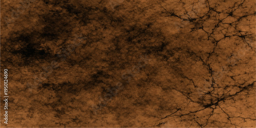 Abstract an expressive and abstract depiction of a textured pattern, resembling cracked earth, displaying intricate details. The earthy tones create a sense of age and depth. 