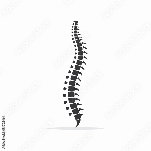 Graphic illustration of a human spine, symbolizing health, medical care, and anatomical structure for healthcare and wellness content