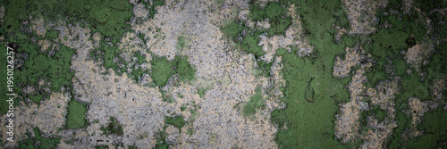 Peeling paint on the wall. Panorama of a concrete wall with old cracked flaking paint. Weathered rough painted surface with patterns of cracks and peeling. Wide panoramic grungy texture for background