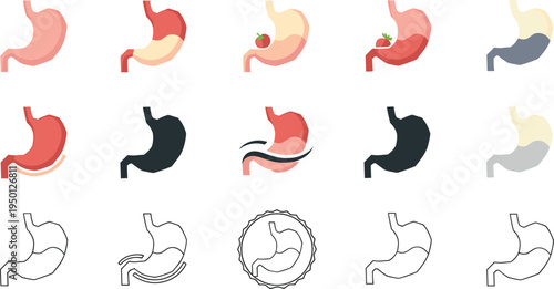 Human stomach anatomy icon set with digestive organ variations healthy and unhealthy stomach medical flat vector illustration collection