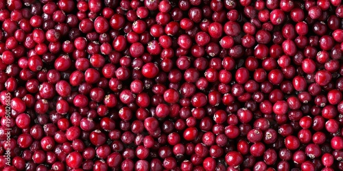 Vibrant and Shiny Red Fresh Lingonberries Filling the Entire Screen in HD Quality Still Life Shot