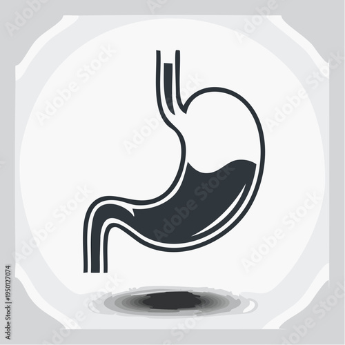 Simple graphic representation of the human stomach organ with internal fluid, illustrating a key part of the digestive system and overall gastrointestinal health concept