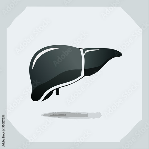 Stylized vector illustration of a healthy human liver, a vital organ crucial for detoxification and metabolic functions, isolated on a clean background for medical and wellness concepts