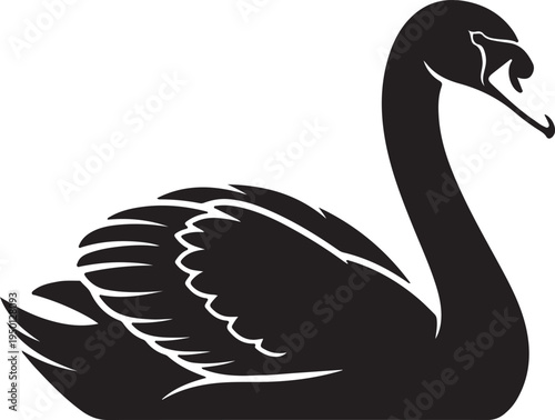 Elegant black swan silhouette with detailed feather and beak design isolated on white background, Vector