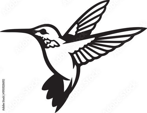 Graceful hummingbird in mid-flight with outstretched wings isolated on white background, Vector
