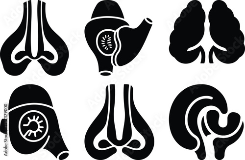 Human Anatomy Icons: Nasal Cavity Brain Lungs Stomach Brain Stem