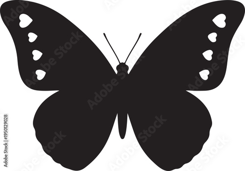 Elegant black butterfly with white patterned wings in a symmetrical design isolated on white background, Vector