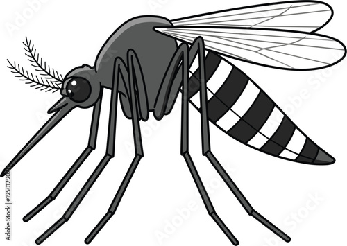 Mosquito Insect Detailed Illustration with Wings, Long Legs and Proboscis Representing Disease Carrier, Pest Control and Vector Biology Concept