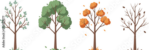Tree seasons collection showing spring summer autumn winter forest trees seasonal nature flat vector illustration set