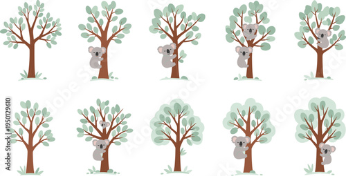 Cute koala bears climbing eucalyptus trees cartoon wildlife animal collection flat vector illustration set
