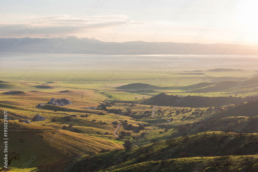 Naklejka premium Carrizo