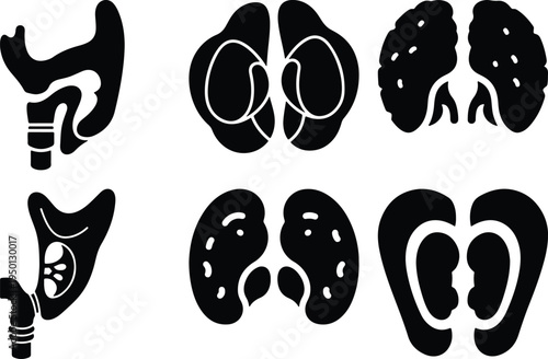 Human Endocrine System Organs Silhouettes Set Medical Clip Art