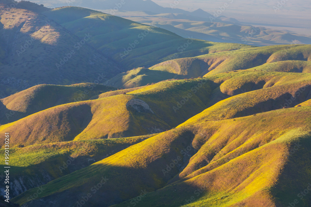 Naklejka premium Carrizo