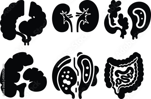 Human Internal Organ Icons Set: Kidneys Brain Intestines EarMedical Graphics