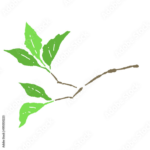 Fresh Green Tree Branch with Leaves Vector