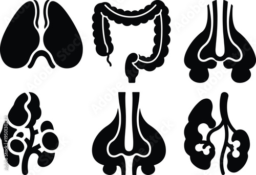 Human Internal Organs Icons Set: Lungs Colon Kidney Trachea Lungs KidneysStock Icons