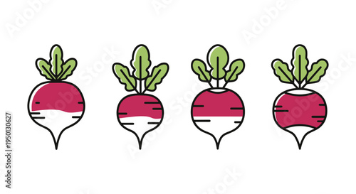 Watermelon Radish Line art creative contemporary abstract style illustration