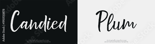 Candied Plum, Script Font Calligraphy Logotype Brush Font Type Font lettering handwritten
