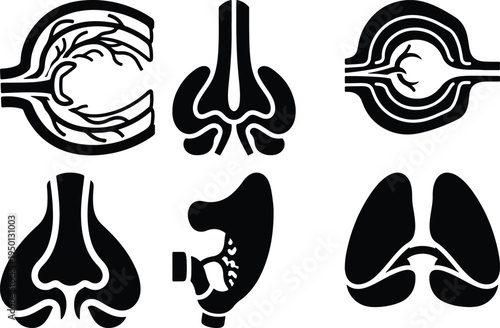 Human Organ Anatomy Icons SetLungs Nasal Cavity Ear KidneyStock Graphics