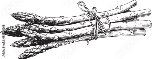 minimalist black and white outline drawing of fresh asparagus stalks, perfect for gourmet and healthy vegetable designs