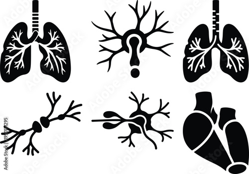 Human Organs and Neurons Icons Collection Medical Science Vector Graphics