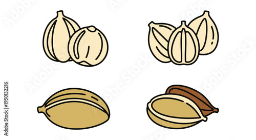 White Cardamom Pods Line art simple artistic abstract color illustration
