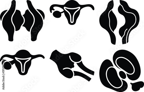Human Reproductive System Anatomy Icons Set Vector Illustrations Medical Symbols