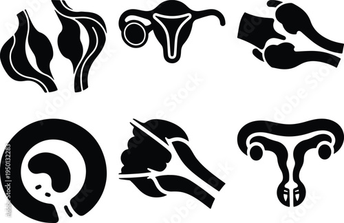 Human Reproductive System Icons Set Female Anatomy Vector Graphics Medical Symbols