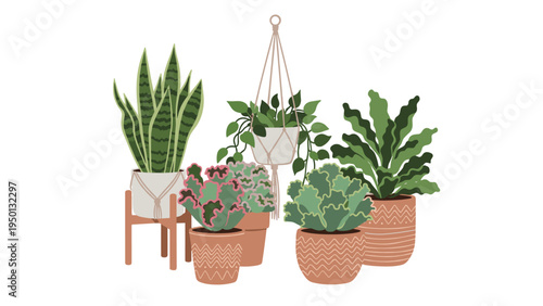 Collection of five beautiful potted houseplants including snake plant, fern, and succulents in decorative ceramic pots.